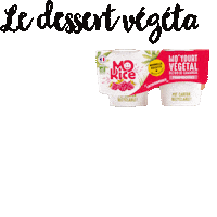 Vegan Bio Sticker by Mo'Rice