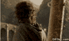 frodo GIF