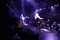 Pop Rock GIF by wade.photo