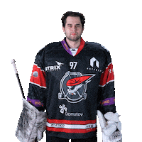 Hokej Goaltender Sticker by Piráti Chomutov