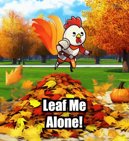 Fall Autumn GIF by Zorooster