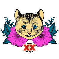 beyond wonderland alicia Sticker by DosEquis