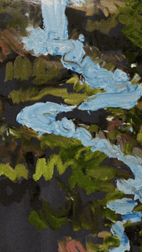 Splash Country Loop 2/4