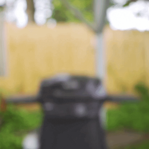 GIF by Spiceology