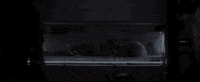 GIF by Mashable