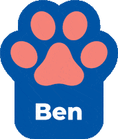 Kopek Sticker by Anadolu Pet