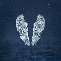 Happy Chris Martin GIF