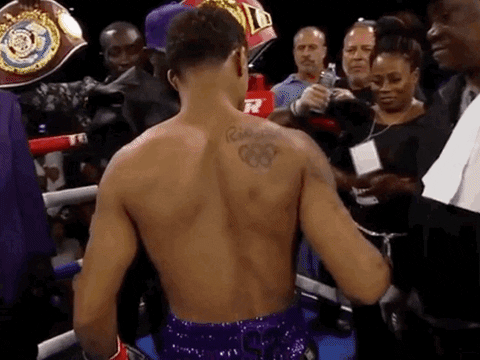 toprank giphyupload fight boxing fighting GIF