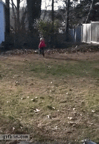 vs leaf GIF