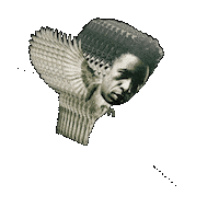 Saul Williams Bird Sticker by Joyful Noise Recordings