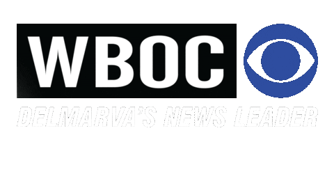 Cbs News Sticker by Draper Media