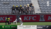 cricketcomau cricket four signal umpire GIF