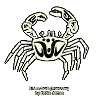 Crab Crayfish Sticker by Magpie Goose