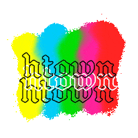 H Town Houston Sticker