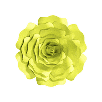 Party 花 Sticker by takanaga