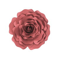 Party 花 Sticker by takanaga