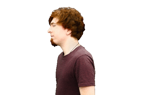 chipde giphyupload chip reaction gifs thorsten Sticker