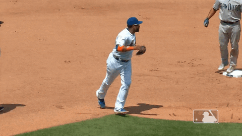 Ny Mets Reaction GIF by New York Mets