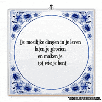 Humor Wijsheid GIF by Tegelspreuken.nl