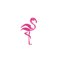 Flamingo Flamingobrand Sticker by Updfq