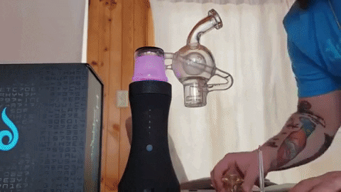 angelworks44 giphygifmaker GIF