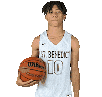 The Nest Goeagles Sticker by SBA Eagles Athletics