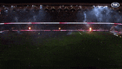 Western Sydney Wanderers Light Show GIF by wswanderersfc
