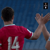 Wales Rugby GIF by Guinness Six Nations