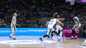 Liga Endesa Basketball GIF by ACB