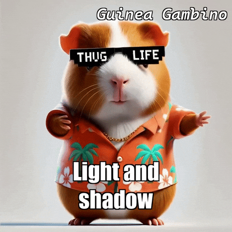 GIF by Guinea Gambino