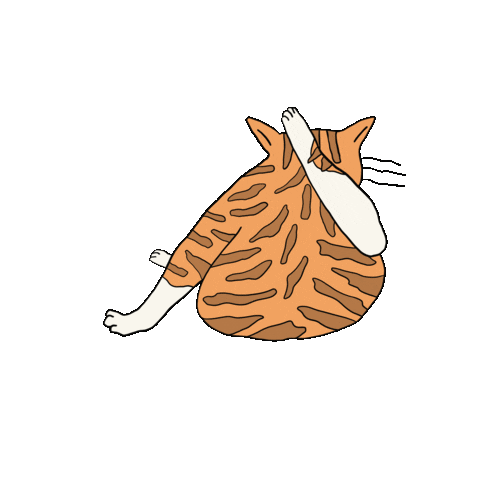 Cat Sticker