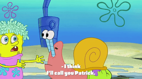 season 9 sanctuary GIF by SpongeBob SquarePants