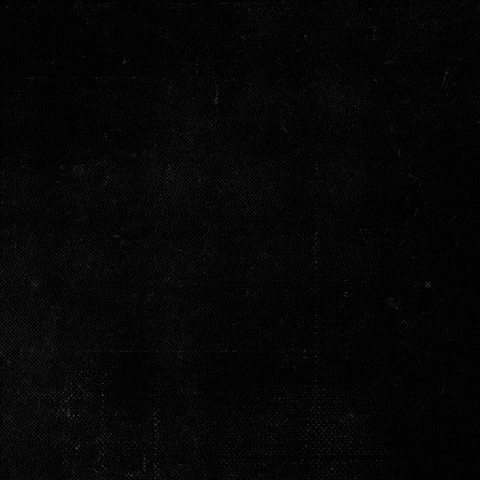 Major League Soccer Football GIF by Austin FC