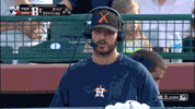 hou GIF by MLB