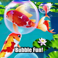 Koi Fish Bubble Soccer GIF by TheConfishius
