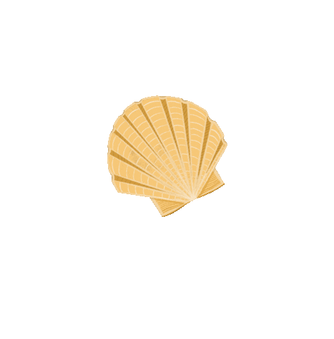 Scallop Shell Beach Sticker