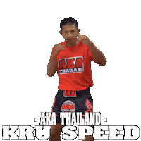 The Rock Fight Sticker by AKA Thailand