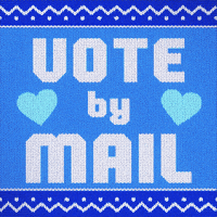 Stay Home Election 2020 GIF by INTO ACTION