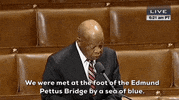 Voting Rights GIF by GIPHY News