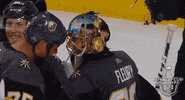happy ice hockey GIF by NHL