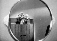 william powell illiam dieterle GIF by Maudit