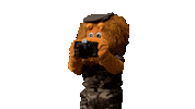 Camera Werkenbijdefensie Sticker by Veteranen TV & Radio