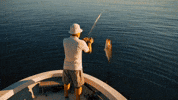 Fish Sea GIF by CaptainBNB