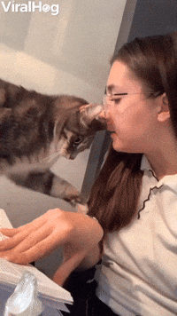 Mom Surprises Cat with Retaliation Bite