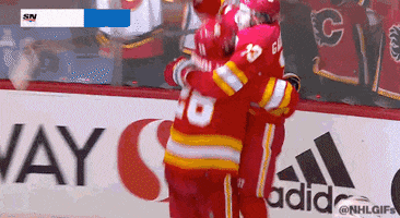 Ice Hockey Sport GIF by NHL