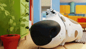 Detektyw_Basia reaction dog sniff sneeze GIF