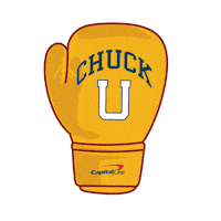 March Madness Basketball Sticker by Capital One