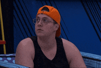 Big Brother What GIF