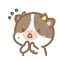 Sorry Cry Sticker