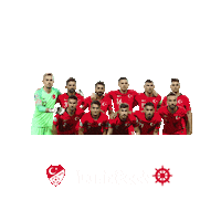 Football Soccer Sticker by DenizBank